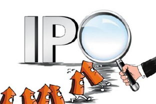 掌閱科技(603533)中簽號(hào)公布時(shí)間與號(hào)碼查詢